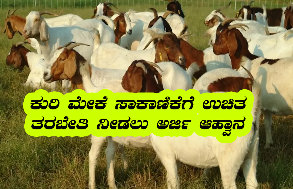 Goat farming training free